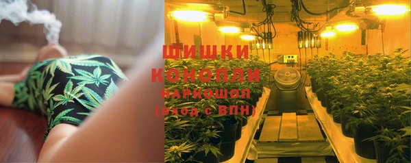 гашик Баксан