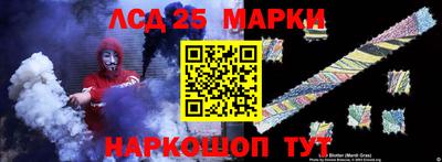 гашик Моздок