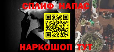 гашик Моздок