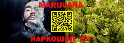 гашик Моздок