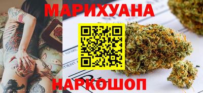 гашик Моздок