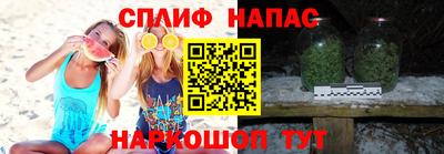 гашик Моздок