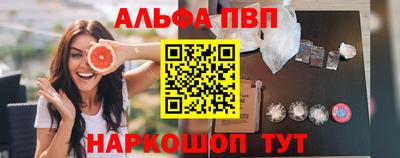 гашик Моздок
