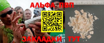 гашик Моздок